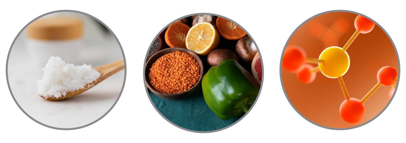 Key Ingredients